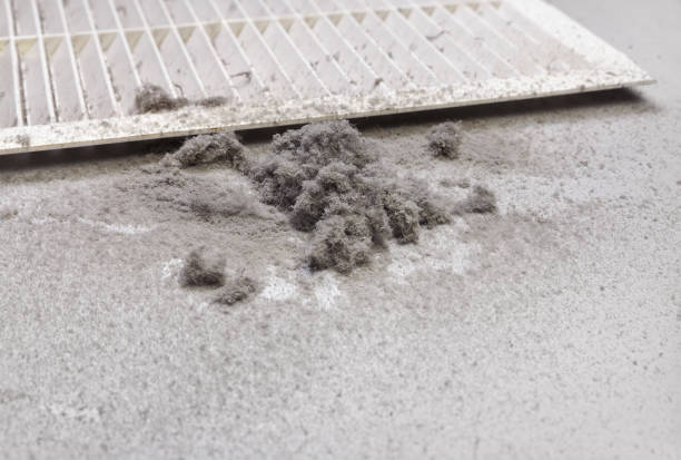 Best Ventilation Cleaning Services  in Mitchell, NE
