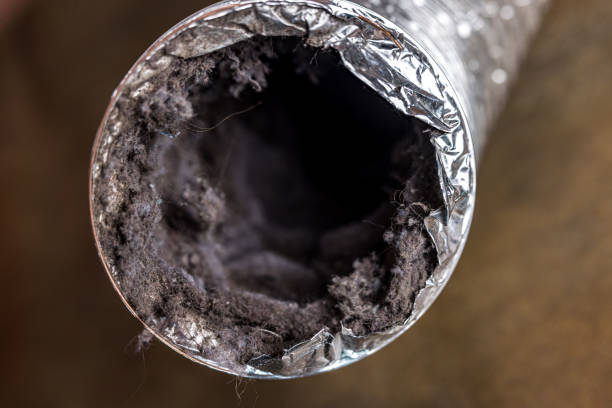Best Home Air Vent Cleaning  in Mitchell, NE